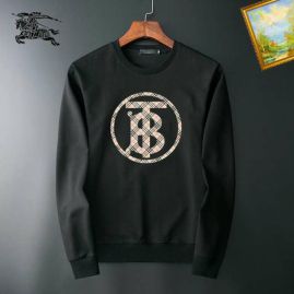 Picture of Burberry Sweatshirts _SKUBurberryM-3XL25tn4524836